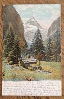 Uelialp, Tödi 1904, n. Herten b. Grauenfeld, z.Rosine Wolfer