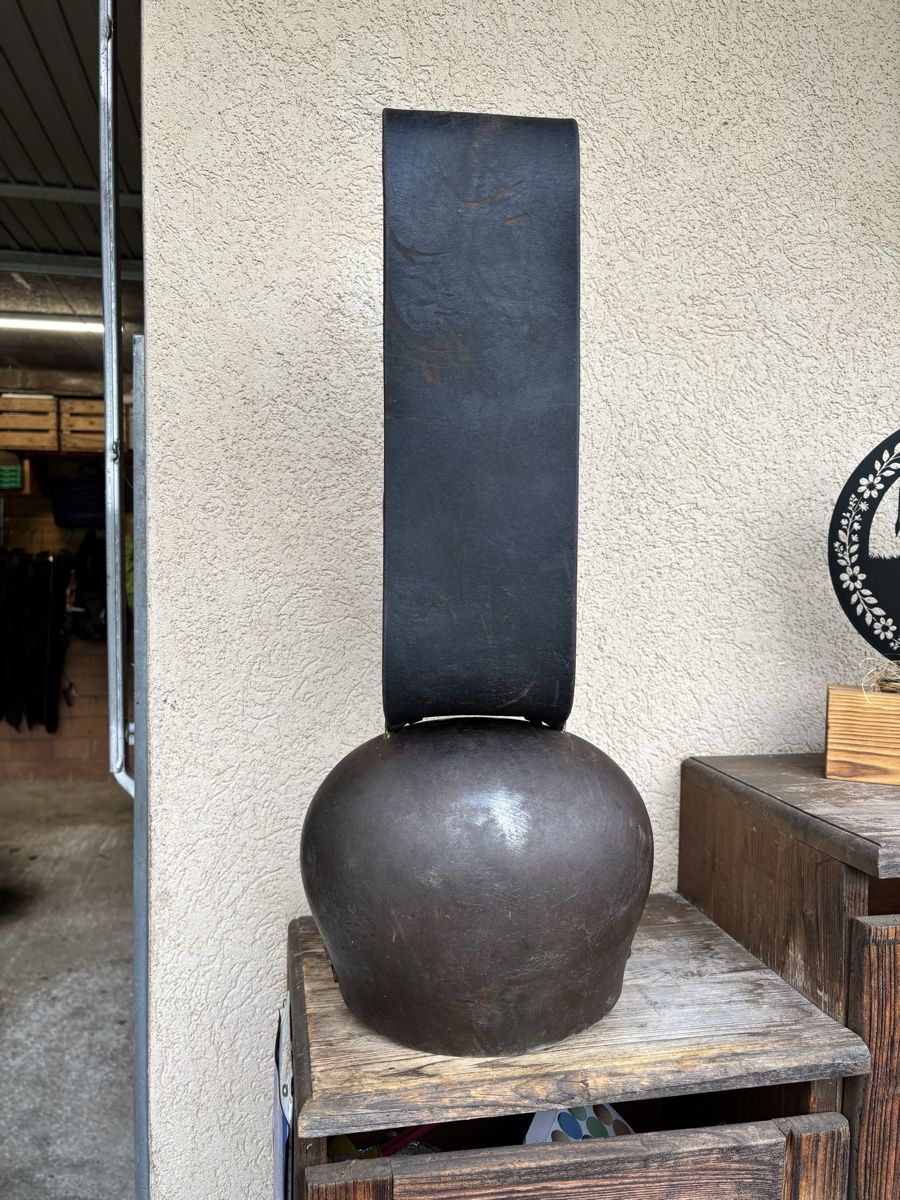 Campanacci mucche: Varonne NR 19 – Usato da Schangnau venduto da Roseggli82 5