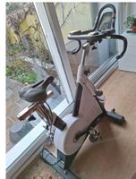 Crane Indoor Bike weiss
