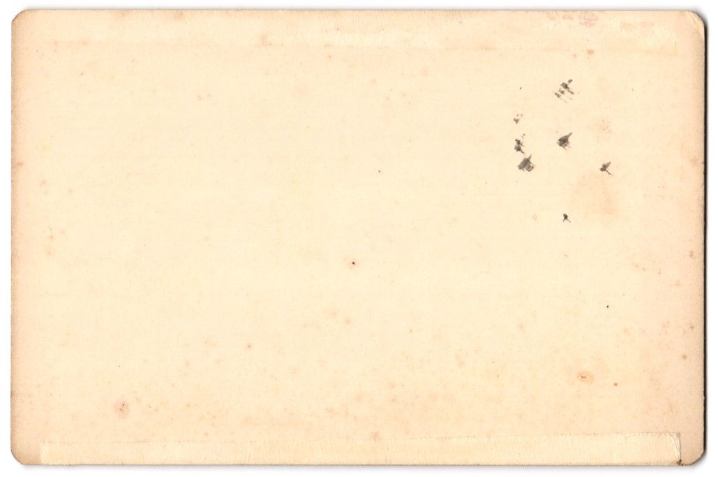 Fotografie & Manifesti: Fotografie Heiden / Bodensee, Blick von  – Usato da Berlin venduto da bartko-reher 1