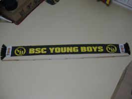 Fussball Schaal YB Young Boys