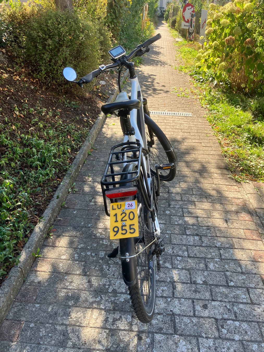 Biciclette: Aureus e-Bike 45Km/h – Difettoso da Altbüron venduto da Toni03 2