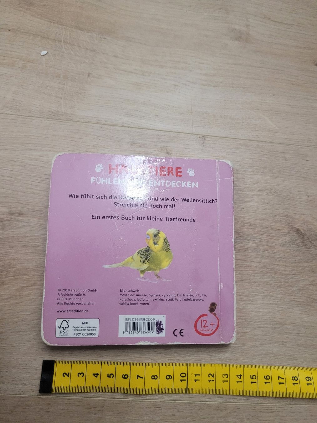 Libri: Streichelbuch Haustiere – Usato da Lupsingen venduto da sta_wgg5 3