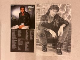 David Hasselhoff LP - Looking For Freedom ( ❗️mit PLAKAT)