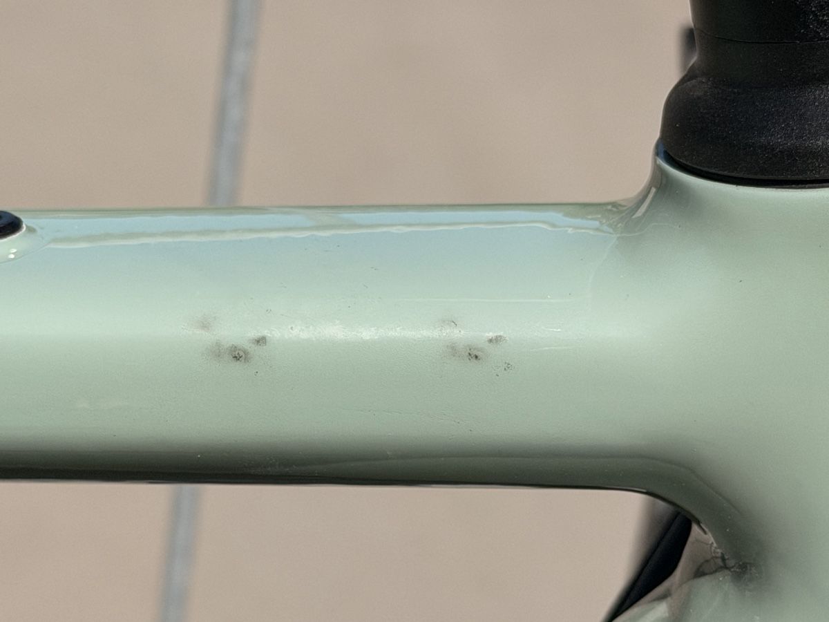 Canyon Biciclette: Canyon Gravel Grizl 6 – Usato da Bühler venduto da kammera2002 6