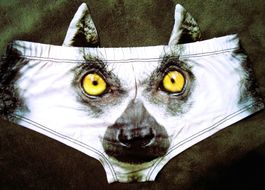 🦊✨ Lustige Damen-Panties mit Fuchs 3D Print 💫