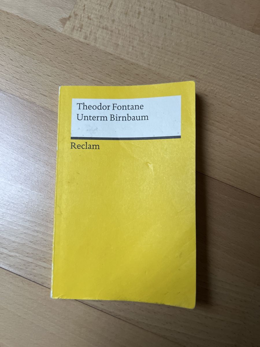 Libri: Reclam Unterm Birnbaum Theodor Fontane – Usato da Brunnen venduto da browneyes_007