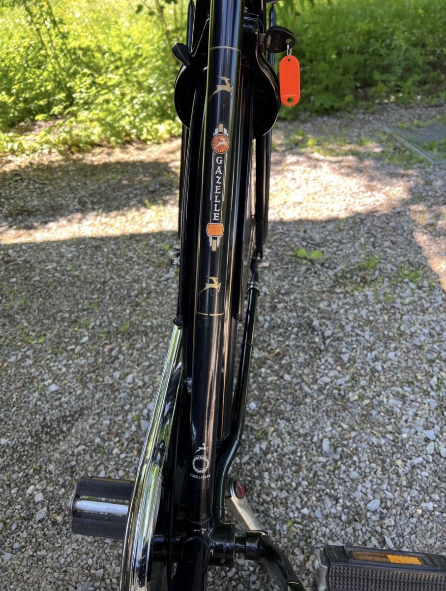 Biciclette: Gazelle Hollandvelo – Usato da Fällanden venduto da Caramel7 6