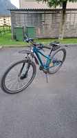 Mountain BIke Specialized
