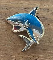 Pin Hai