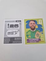 Panini Sticker SWE2