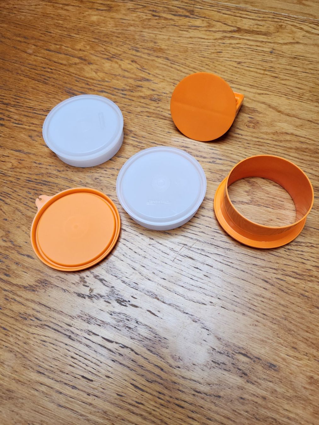 Tupperware Contenitori & Simili: Tupperware Hamburgerpresse 5Tlg. NEU – Nuovo (secondo la descrizione) da Gstaad venduto da Meiel2020 2