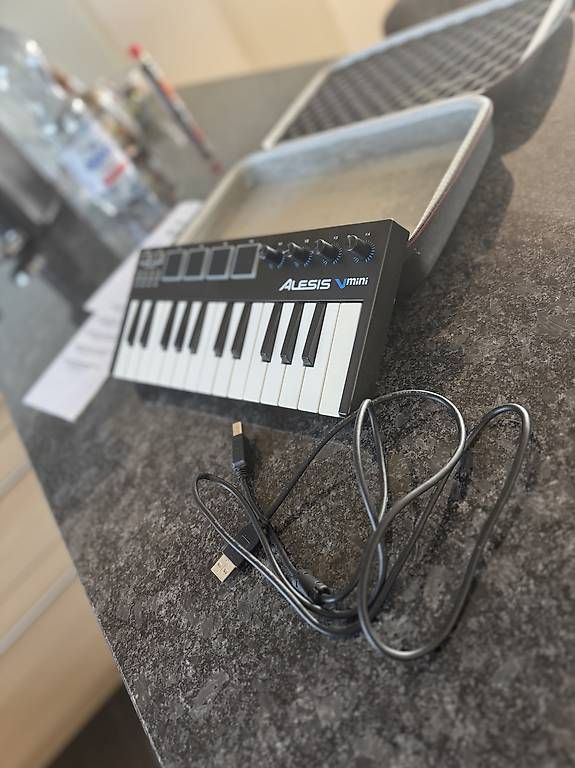 Strumenti musicali: Alesis Midi Piano + Case + Kabel – Usato da Siegershausen venduto da niiico_7 1
