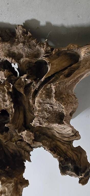 Articoli in legno: Einzigartige Savannenholz Wurzel – Usato da Horn venduto da Cyres67 1
