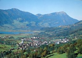 STEINEN mit Rigi, Lauerzersee und Steinerberg