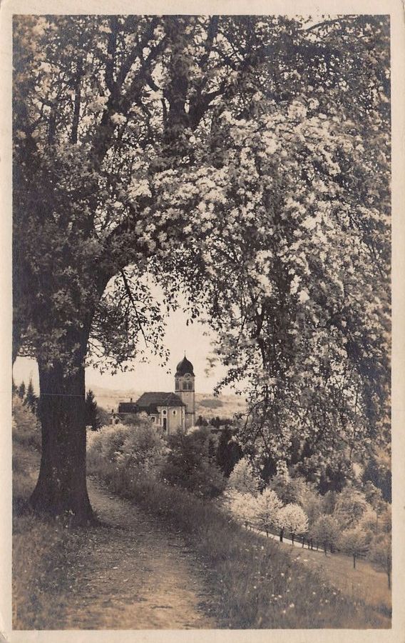 Cartoline postali: Feusisberg, gelaufen 1922 – Usato da Frauenfeld venduto da POML