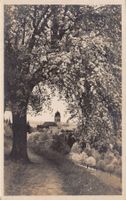Feusisberg, gelaufen 1922