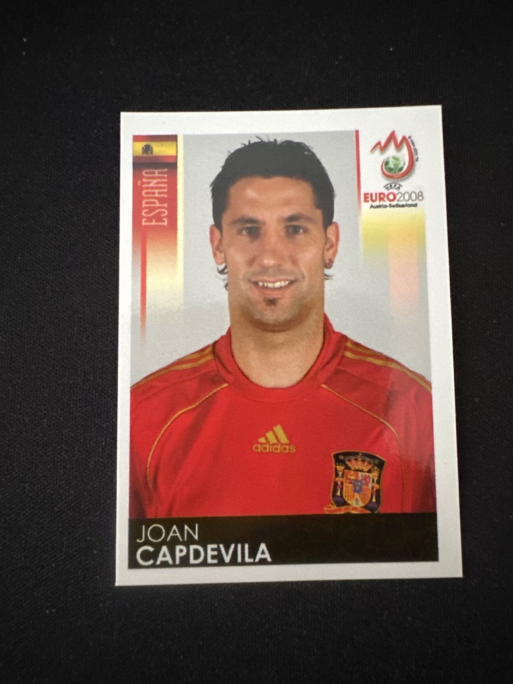 Panini Carte collezionabili: Panini UEFA EM 2008 Sticker - Nr. 421 – Usato da Sulz AG venduto da DealWerk