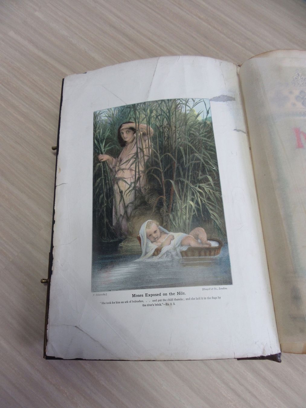 Libri: Antike Bibel – Usato da Buttikon SZ venduto da dew_fb5l 3