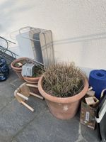 Terracotta Töpfe, GRATIS