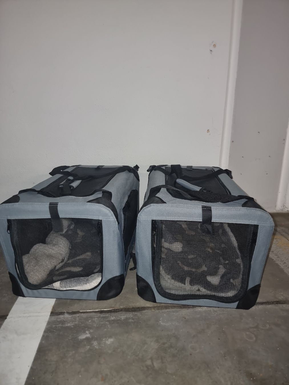 Liege- & Schlafplätze: FreezackFaltbox Roco 2× – Gebraucht aus Arbon von sabire72