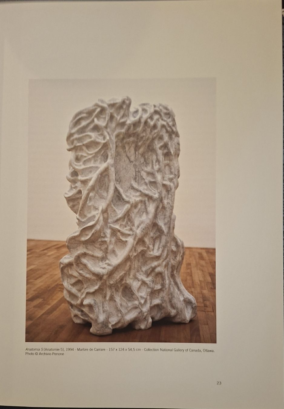 Bücher: Giuseppe Penone Buch Actes Sud Musee de Grenoble Buch – Neu (gemäss Beschreibung) aus Niederglatt ZH von Siegfried67 3