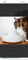 LUCYBALU TREVI Trinkbrunnen Keramik  Weiss gebraucht