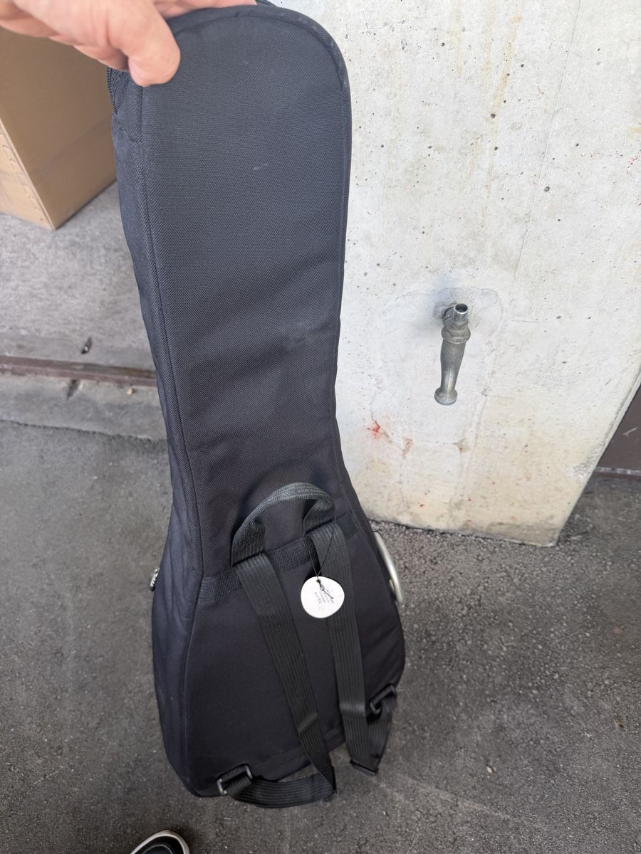 Strumenti musicali: Gitarre  – Usato da Baden venduto da noli.r 8