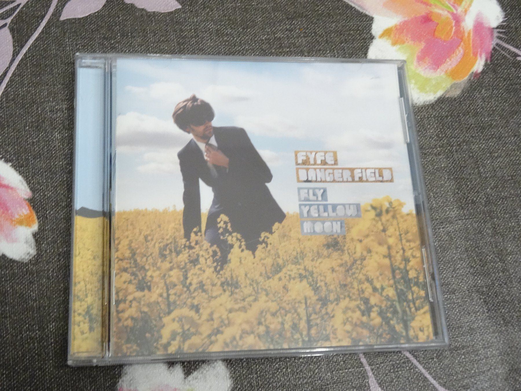 CD: Fyfe Danger Field - Fly Yellow Moon CD – Usato da Olten venduto da Disc-Ausverkauf