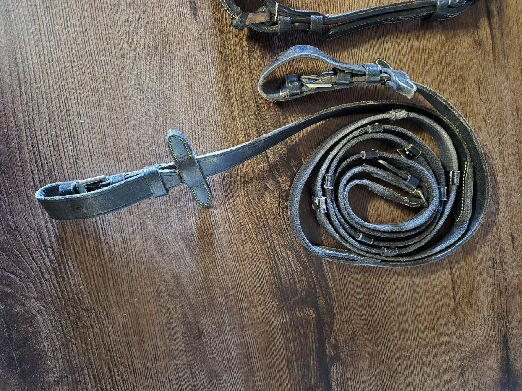 Briglie & Cavezze: Zaumzeug Pony – Usato da Meggen venduto da Orrinka20 2