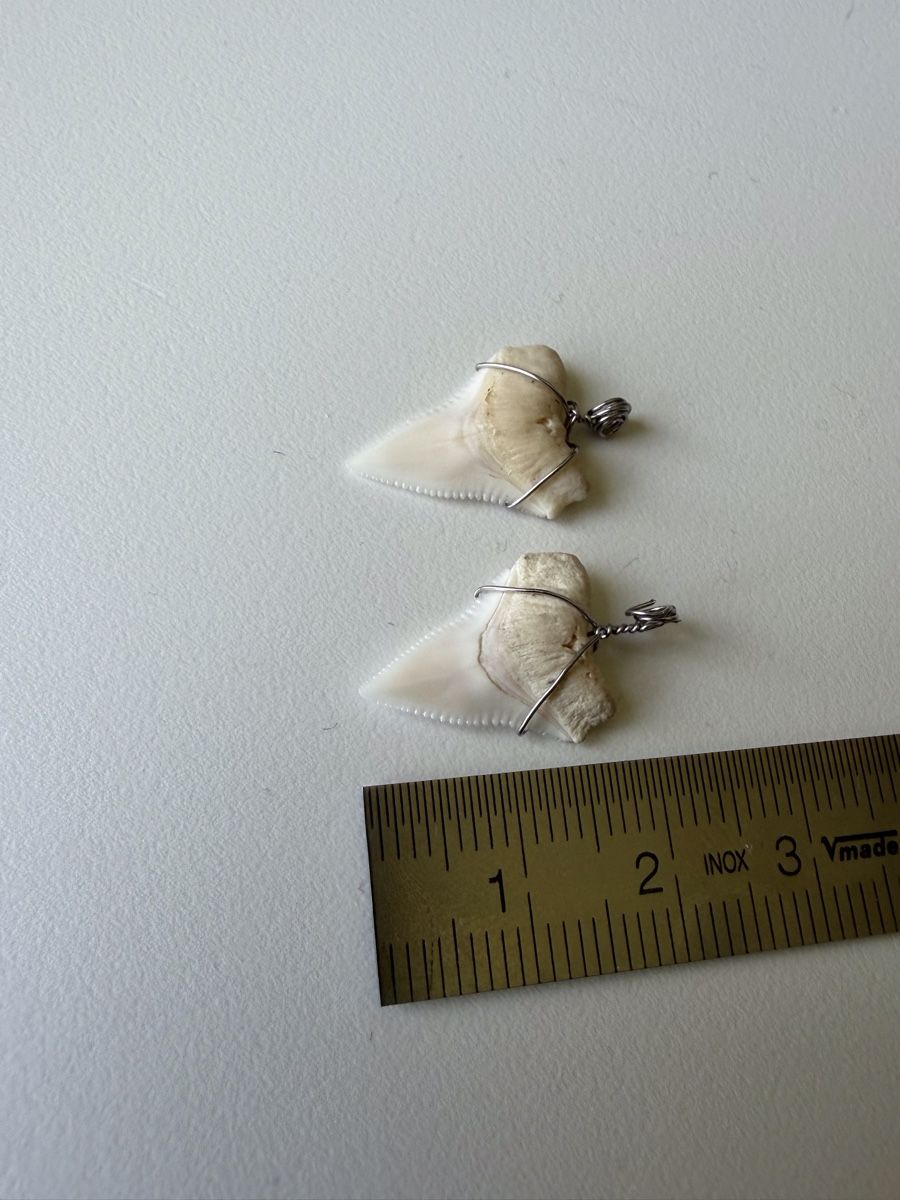 Ciondoli: Pendentifs dents de requins – Nuovo (secondo la descrizione) da Le Noirmont venduto da Fanny_ 1