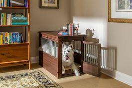 Hundebox De-Luxe , sehr edel, Innenbox, EH403L