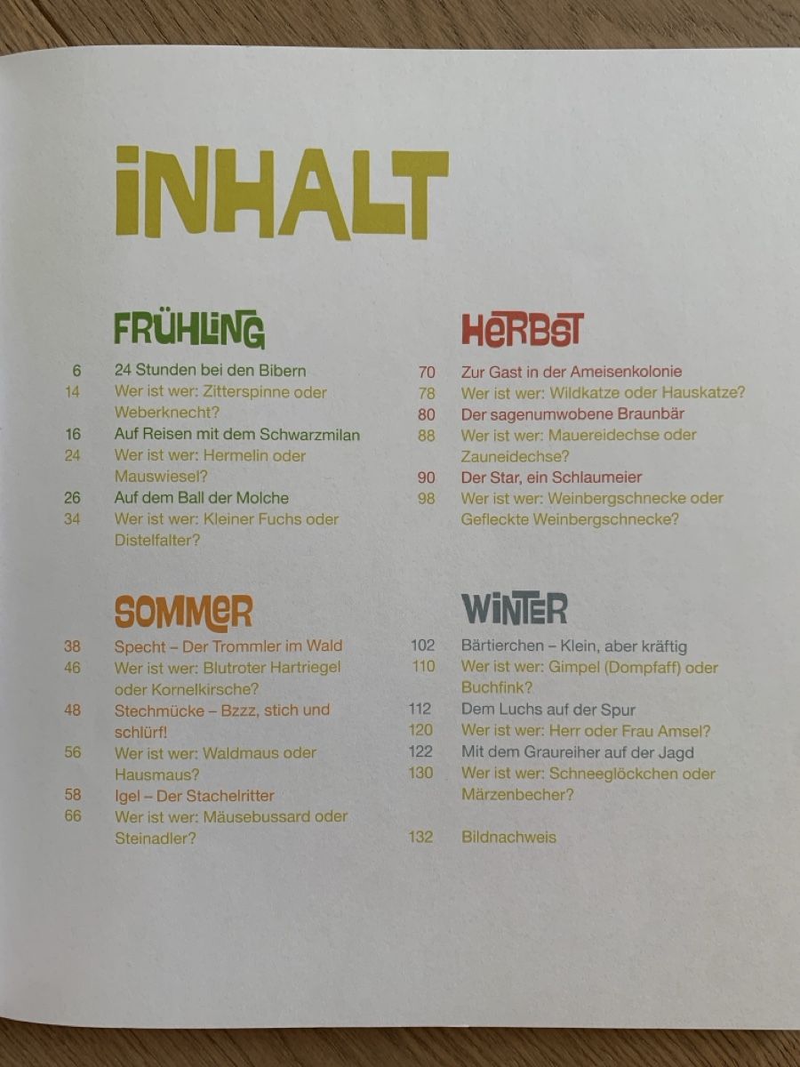 Libri: Mit dem kleinen Salamander durchs Jahr  – Usato da Winterthur venduto da amapola 2