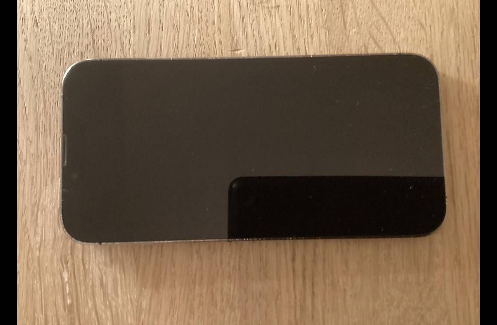 Apple Telefoni cellulari / Smartphones: iPhone 13 Pro – Usato da Gentilino venduto da and_ycm7 1