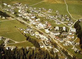 LA PUNT-CHAMUES-CH Flugaufnahme
