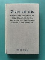 Tiere um uns - Geschichten und Schilderungen