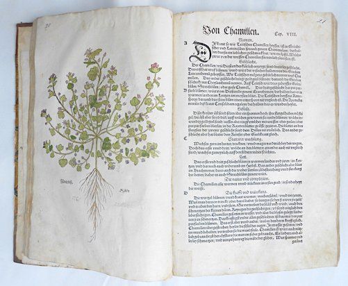 Livres: Fuchs, Leonhart. New Kreüterbuch. Original. Basel 1543 – D'occasion à Zug par AntiquariatFatzer