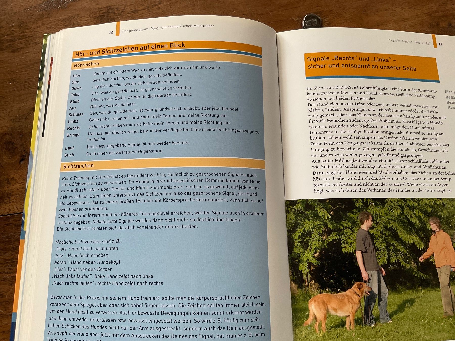 Libri: Hundetraining mit Martin Rütter, Partnerschaftl – Usato da Avenches venduto da Tinkey 3