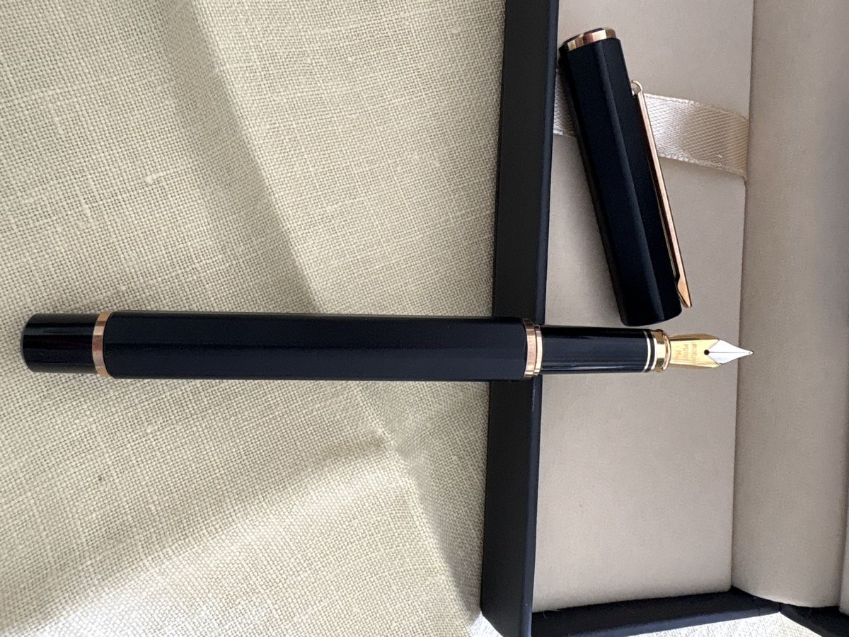 Caran D'Ache Stylos & Marker: Caran D'Ache collection Ecridor FP – Neuf (Voir description) à Lugano par Edera49 3