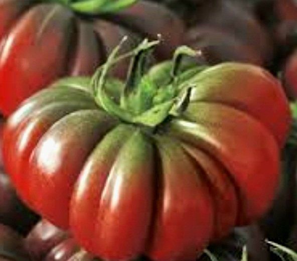 Pflanzen & Samen: Ab 5.- fr 5 Samen schwarze RIPPENTOMATE – Neu und originalverpackt aus Rovio von POSITIFFARTandPLANTS