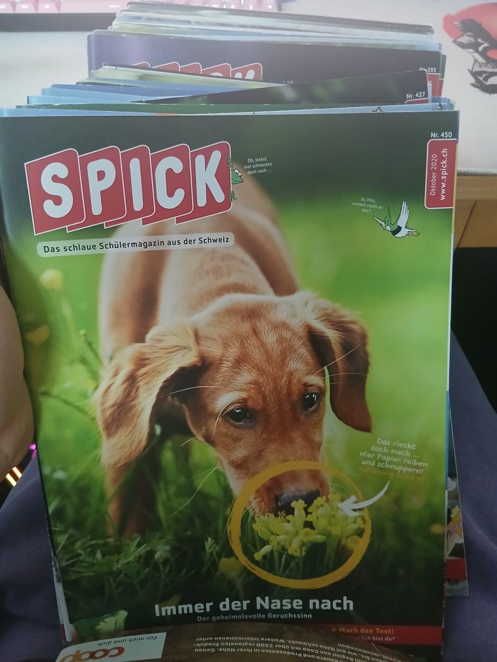 Spick Sammlung 2009-2020 (Gebraucht) in Zürich für CHF 50 – mit ...