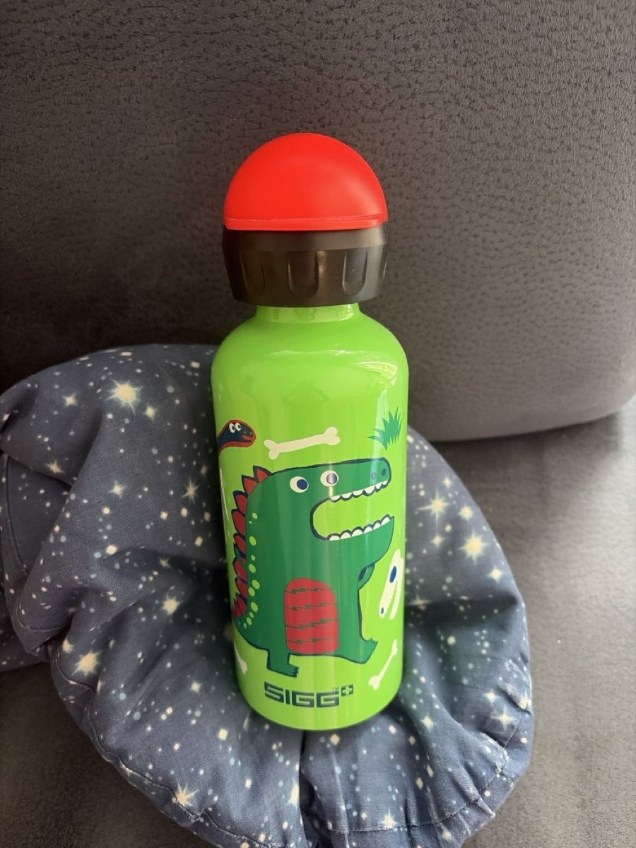 Sigg Borracce & Thermos: Sigg Flasche Dino Neu – Nuovo (secondo la descrizione) da Embrach venduto da Yeasy