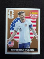 Pulisic Extra Sticker platinium