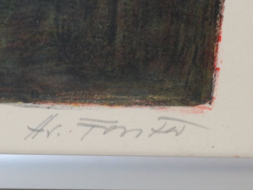 Grafica & Litografie: Hans Forster -  Farblithografie | 74/110 – Usato da Volketswil venduto da brockipfannenstil 5