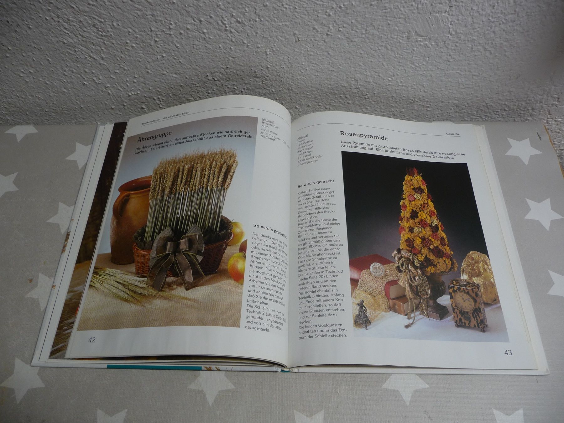 Libri: Buch: Trockenblumen binden und stecken – Usato da Rafz venduto da Powacaddy 4