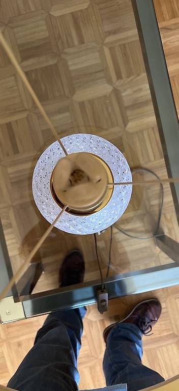 Lampade: Tischlampe  – Usato da Appenzell-Steinegg venduto da 200162 1