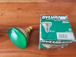 Sylvania Glühbirne code 0019651, gross grün 80w