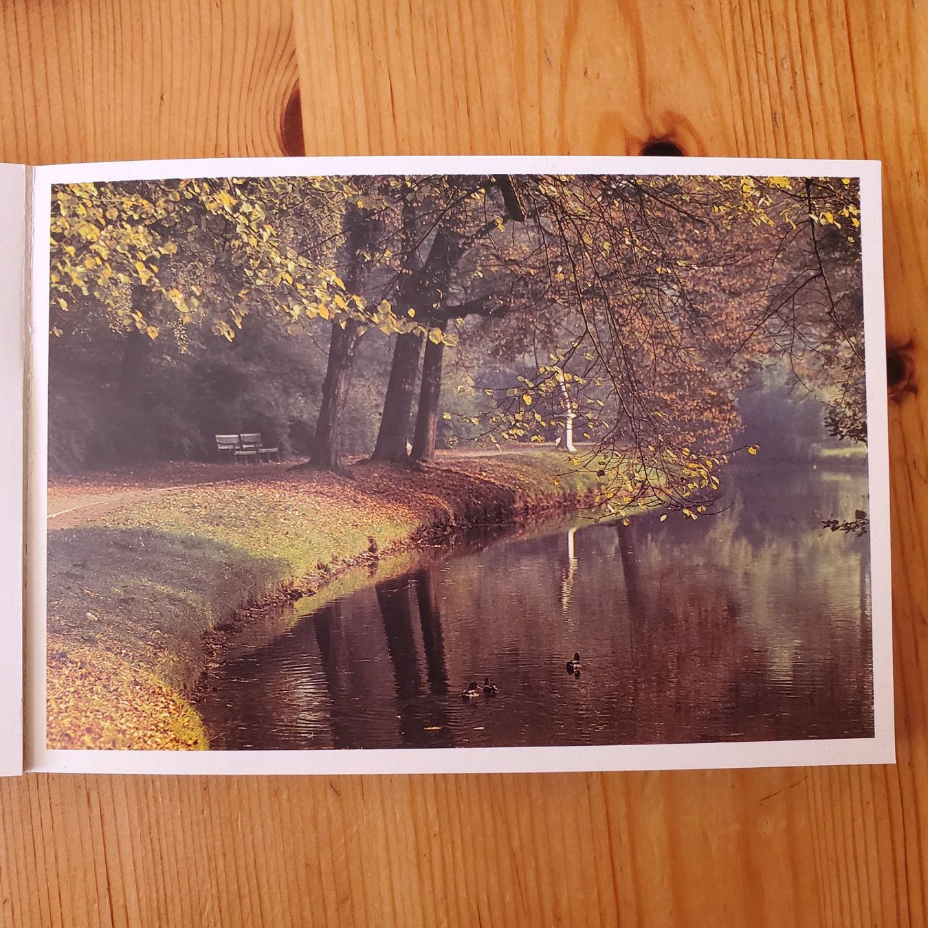 Livres: Postkartenbücher Herbst & Wege - 41 wunderschöne Postkarten – D'occasion à Zürich par BornInQueensland 2