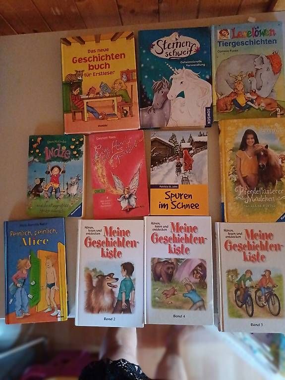 Libri: Diverse Bücher  – Usato da Ballwil venduto da Karinjuon 4
