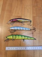 Wobbler Set, Schleppköder, BigBait, Hechtköder, Welsköder